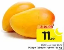 مانجو تيمور يمني لكل كيلو