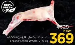 لحم غنم كامل دجاج 7-9 كيلو