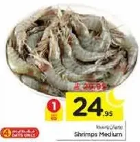 روبيان متوسط.