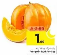 يقطين احمر للكيلو