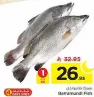 سمك باراموندي