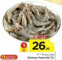 Shrimps Farm 60/70