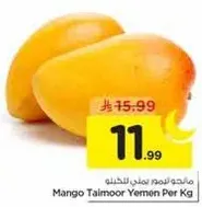 مانجو تيمور يمن لكل كيلو