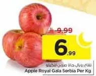 تفاح رويال جالا صربيا للكغ