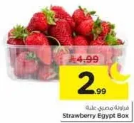 فراوله مصري علبه