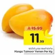 مانجو تيمور يمن لكل كيلو