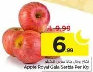 تفاح رويال جالا صربيا لكل كيلو