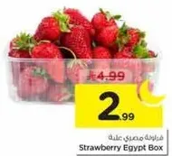 Strawberry Egypt Box
