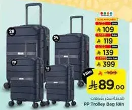 PP Trolley Bag 18in