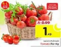 طماطم لكل كيلو