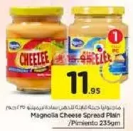 Magnolia Cheese Spread Plain