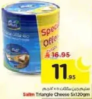 Salim Triangle Cheese 5x120g