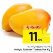 مانجو طيمور يمني لكل كيلو