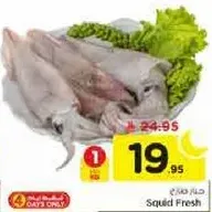 Fresh squid, perfect for cooking and grilling.