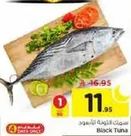 سمك التونه الاسود