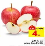 تفاح جالا للكغو