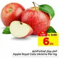 التفاح رويال جالا اوكرانيا للكغ