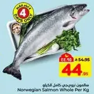 سلمون نرويجي كامل للكيلو
