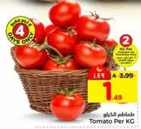 طماطم للكيو