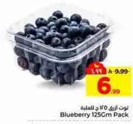 توت ازرق 125 سم