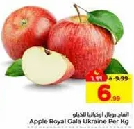 التفاح رويال اوكرانيا للكغ