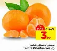 يوسفي باكستاني للكيوي