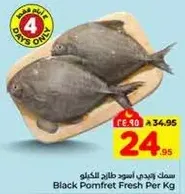 سمك زبدي اسود طازج الكيلو