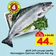 سلمون نرويجي كامل بالكيلو