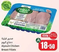 صدر فيليه دجاج اليوم