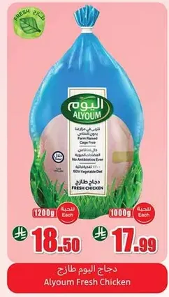 Alyoum Fresh Chicken
