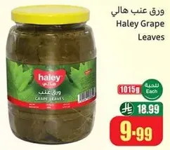 Haley Grape Leaves