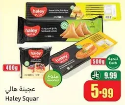 Haley Squar assorted frozen snacks including sambousak and other varieties.