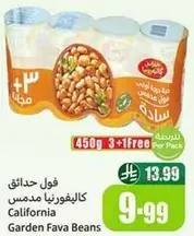 California Garden Fava Beans