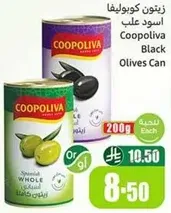 Coopeliva Black Olives Can