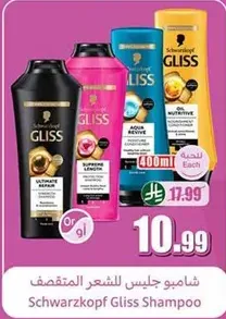 شامبو جليس للشعر المتقصف