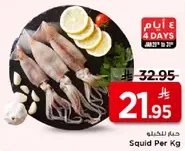 حبار للخليج