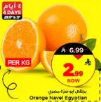برتقال نفل مصري
