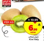 كيوي ايطالي