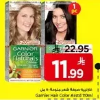 Garnier Hair Color Assorted 110ml
