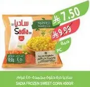 ساديه ذره حلوه مجمده 450 غرام