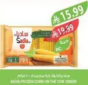 ساديه ذره مجمده علي العود.