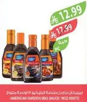 American Garden BBQ Sauce 180z Assorted