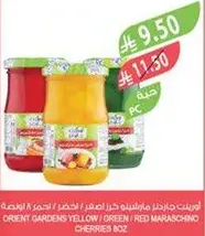 Orient Gardens Yellow / Green / Red Maraschino Cherries 802