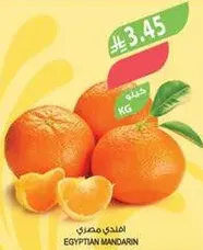 مندرين مصري