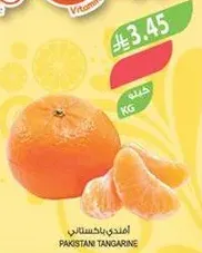 مندل باكستاني