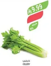 Celery