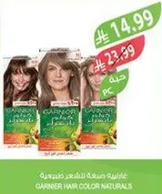 Garnier Hair Color Naturals