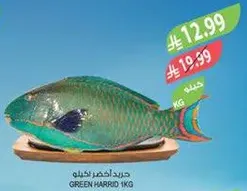 Green Harrid 1kg