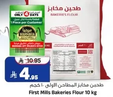 طحين مخازن المطاحن الاولي - 10 كجم