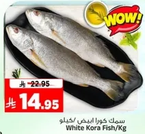 سمك كورا ابيض/كيلو